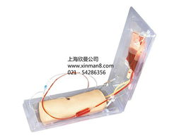 高級肘部靜脈穿刺訓(xùn)練模型——醫(yī)療護理實訓(xùn)的關(guān)鍵工具